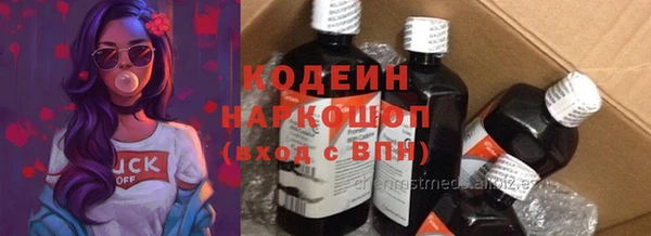 шишки Богородицк