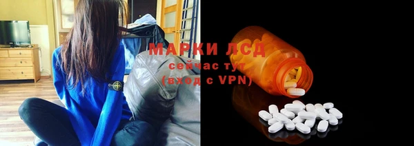 шишки Богородицк