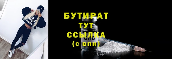 шишки Богородицк