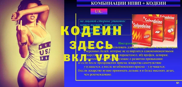 шишки Богородицк