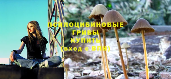 шишки Богородицк