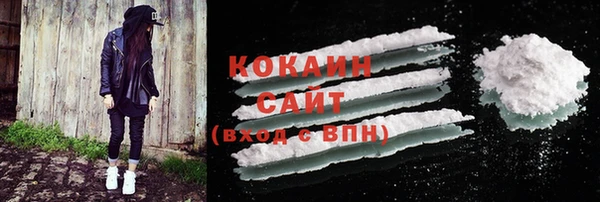 шишки Богородицк