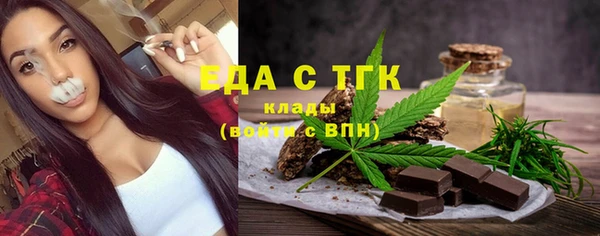 мдпв Богородск