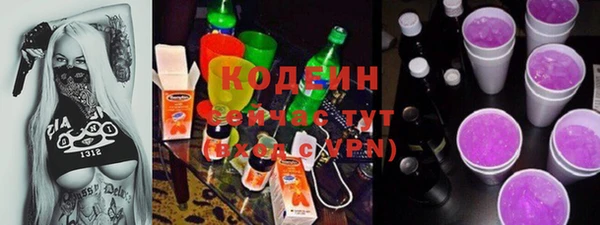 гидра Покачи