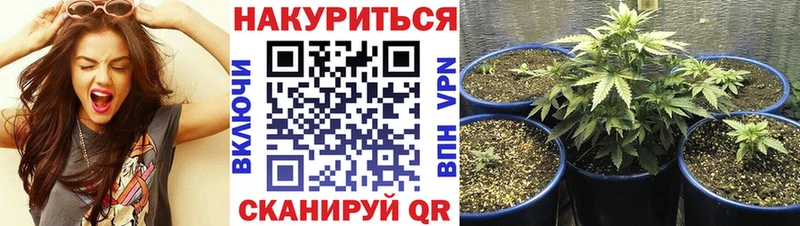 магазин продажи   Неман  Канабис SATIVA & INDICA 